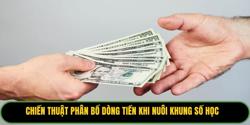 Chiến thuật phân bổ dòng tiền khi nuôi khung số học.