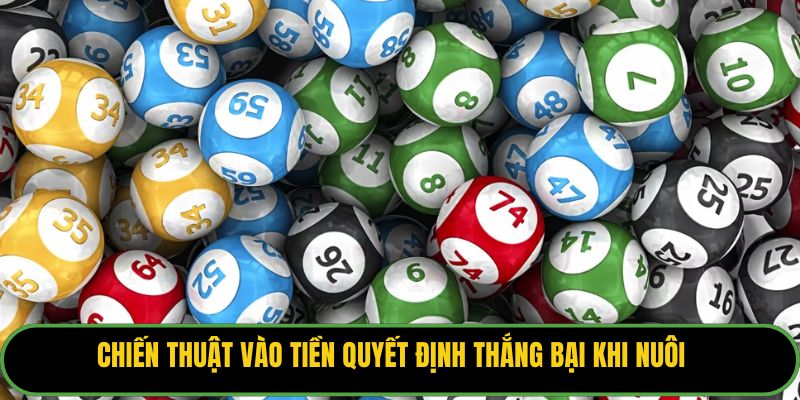 Chiến thuật vào tiền quyết định thắng bại khi nuôi