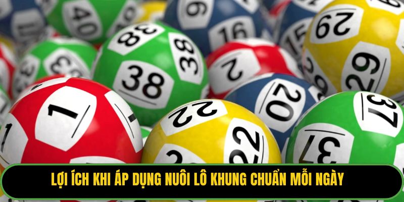 Lợi ích khi áp dụng nuôi lô khung chuẩn mỗi ngày.