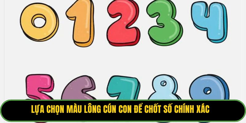 Lựa chọn màu lông cún con để chốt số chính xác.