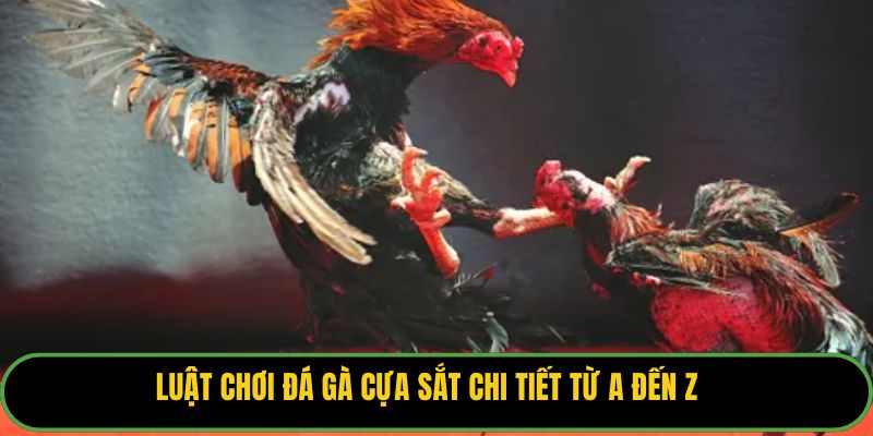 Luật Chơi Đá Gà Cựa Sắt