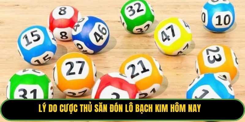 Lý do cược thủ săn đón lô bạch kim hôm nay.