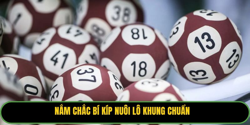 Nắm chắc bí kíp nuôi lô khung chuẩn.