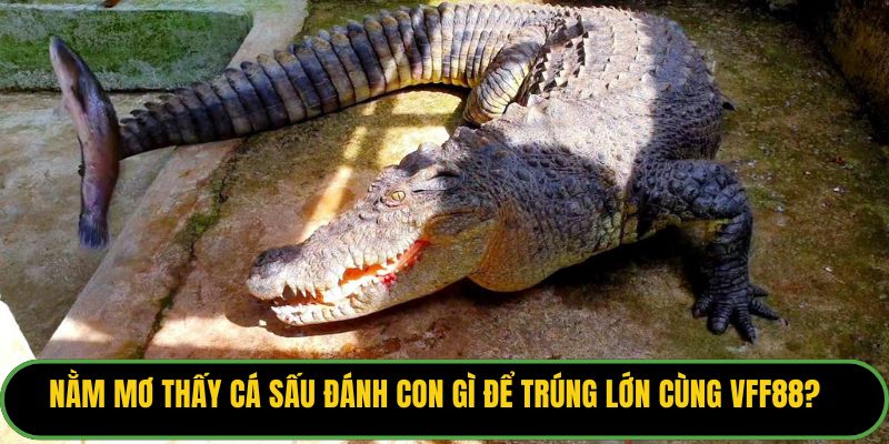 Nằm Mơ Thấy Cá Sấu