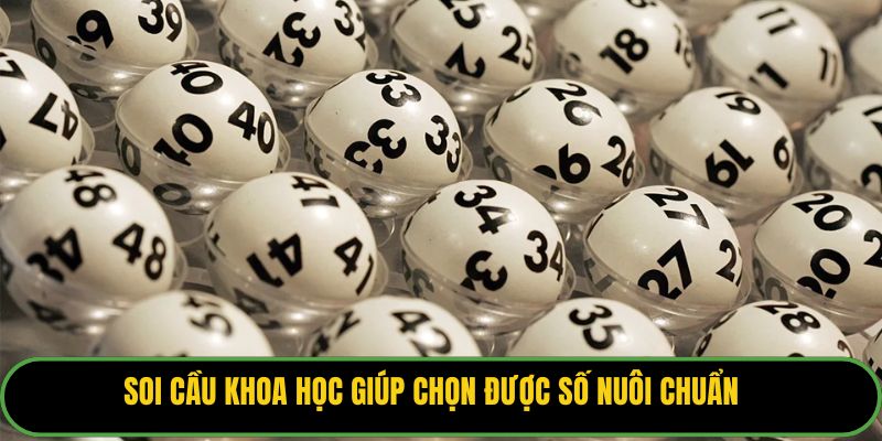 Soi cầu khoa học giúp chọn được số nuôi chuẩn