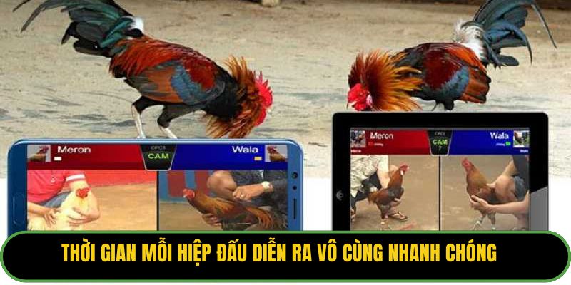 Thời gian mỗi hiệp đấu diễn ra vô cùng nhanh chóng.